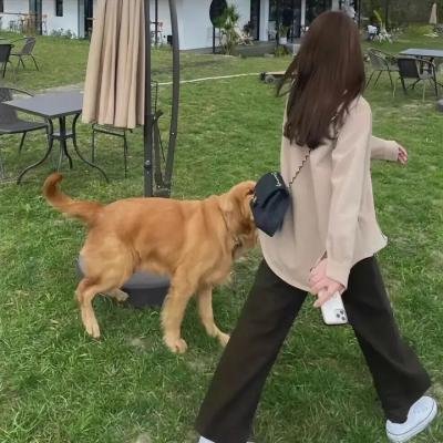 公司不是学校